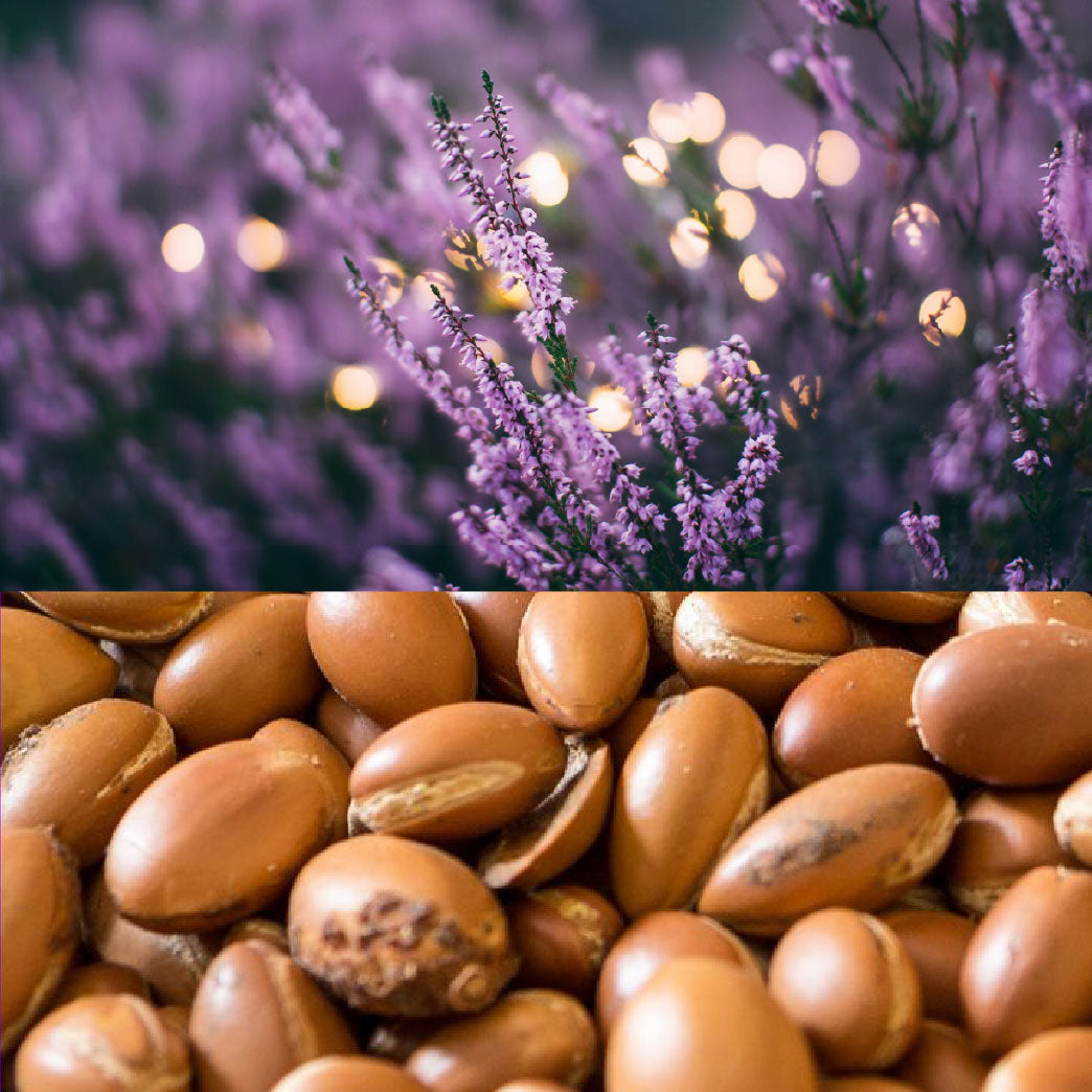 Lavanda y Argán: naturaleza que calma, nutre y transforma