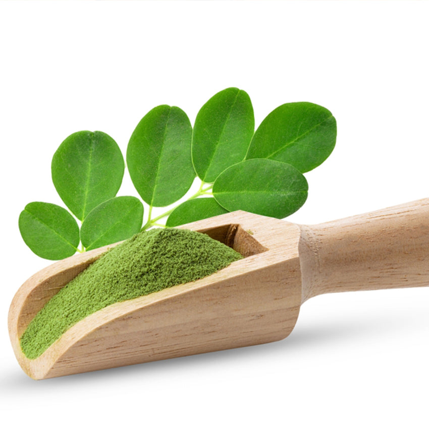 Conoce los beneficios de la moringa