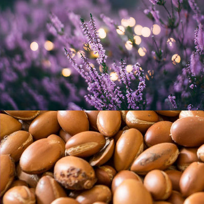 Lavanda y Argán: naturaleza que calma, nutre y transforma