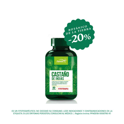 Castaño de indias en cápsulas